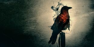 События Alan Wake и Control разворачиваются в одной вселенной